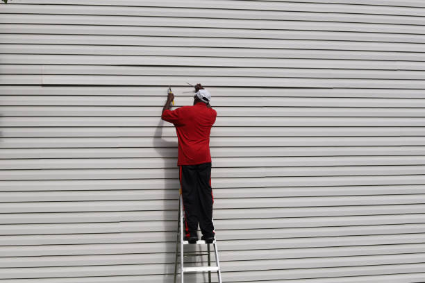 Best Vinyl Siding Installation  in Antigo, WI